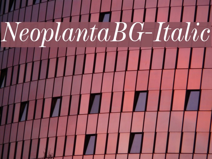 NeoplantaBG-Italic Font examples