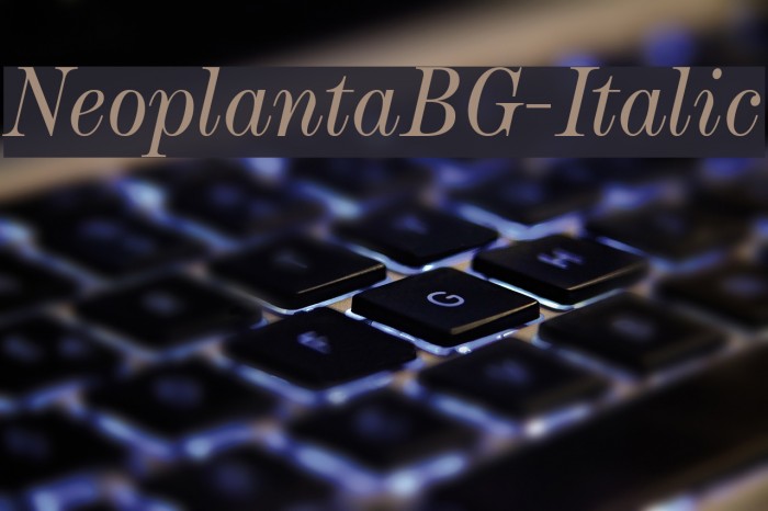 NeoplantaBG-Italic Font examples