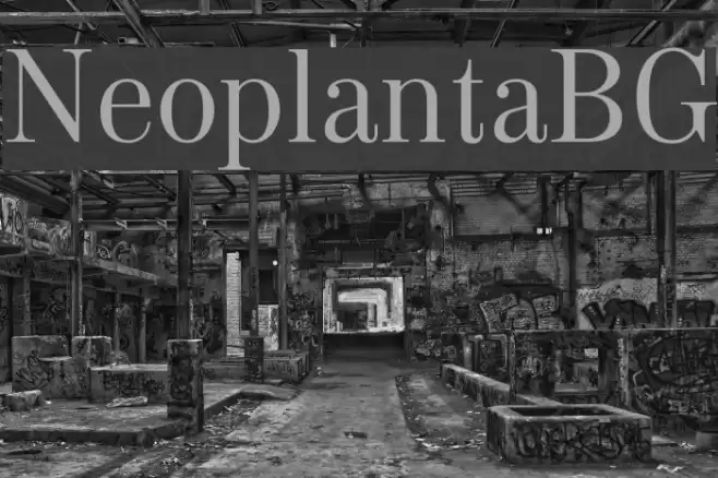 NeoplantaBG Font examples