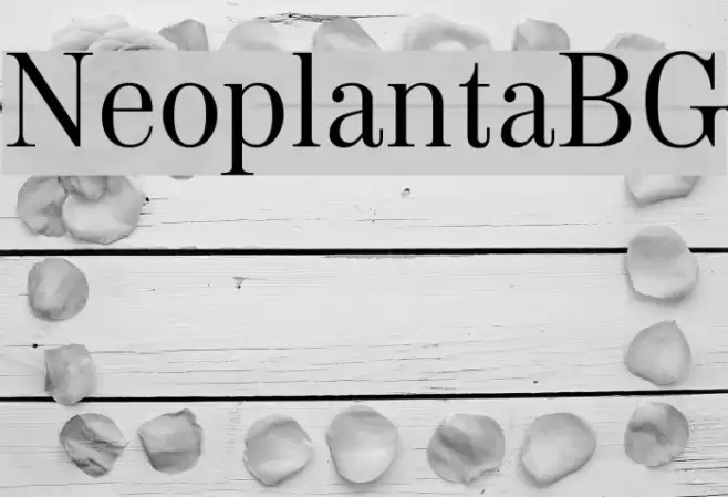 NeoplantaBG Font examples