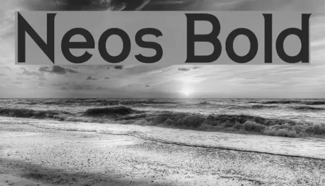 Neos Bold Example 2