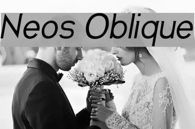 Neos Oblique Example 1