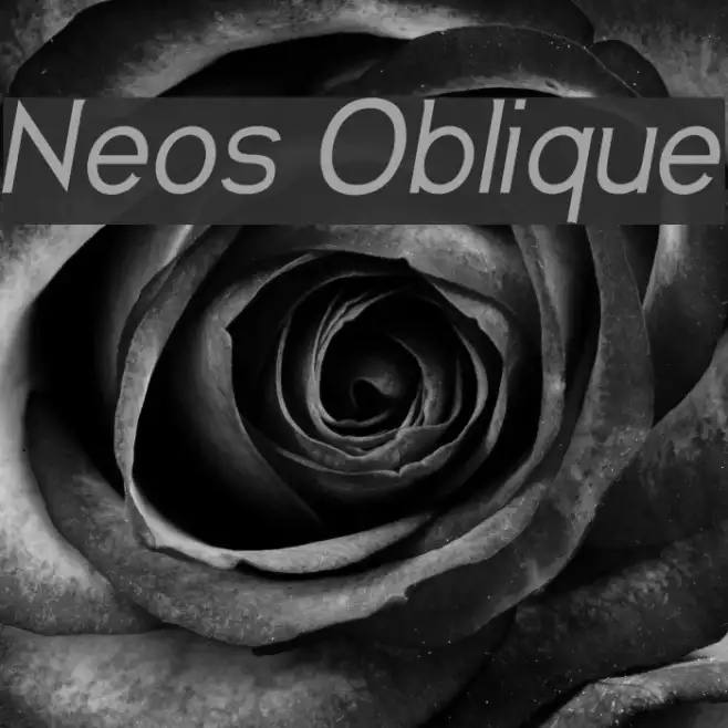 Neos Oblique Example 3