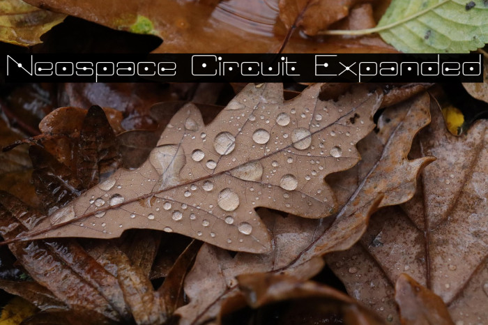 Neospace Circuit Expanded Example 2