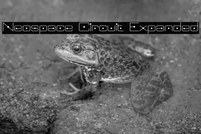 Neospace Circuit Expanded Polices examples