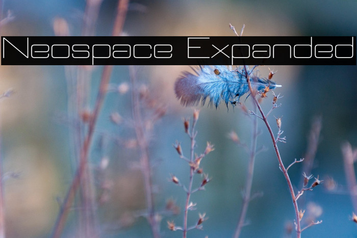 Neospace Expanded Example 3