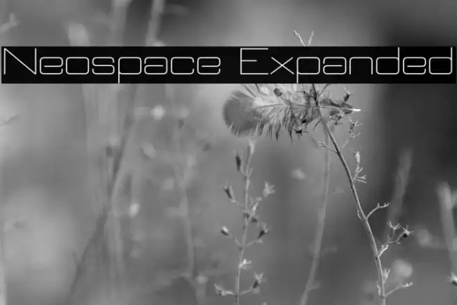 Neospace Expanded フォント examples