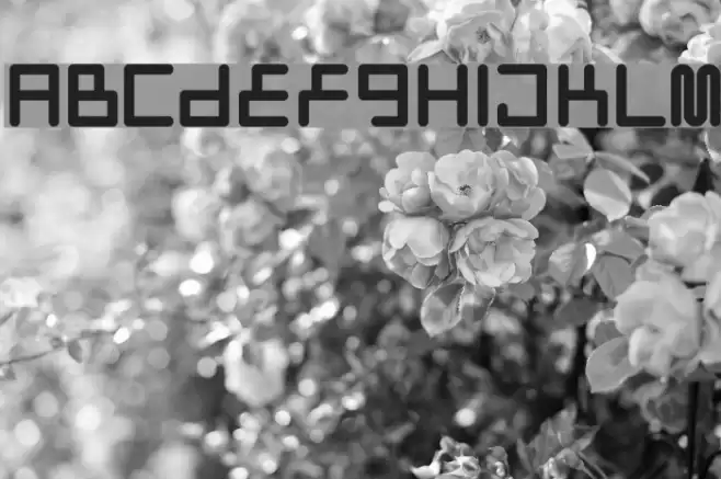 Neostyle Шрифта examples