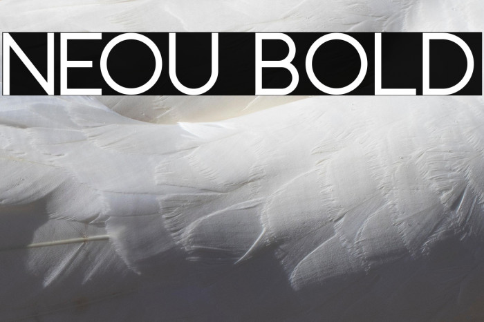 Neou Bold Example 1