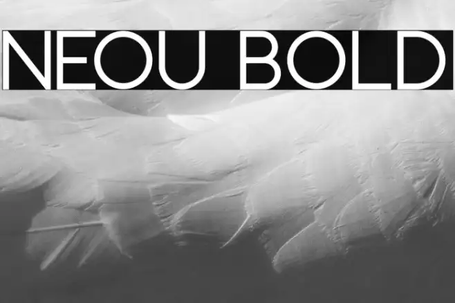 Neou Bold Example 1