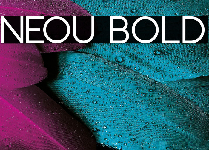 Neou Bold Example 2