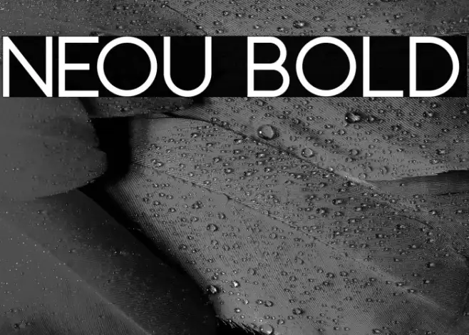Neou Bold Example 2