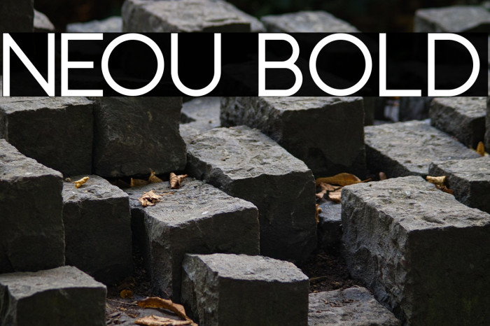 Neou Bold Example 3