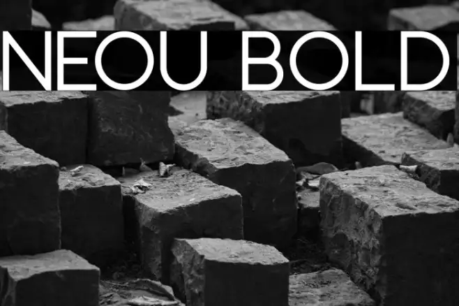 Neou Bold Example 3