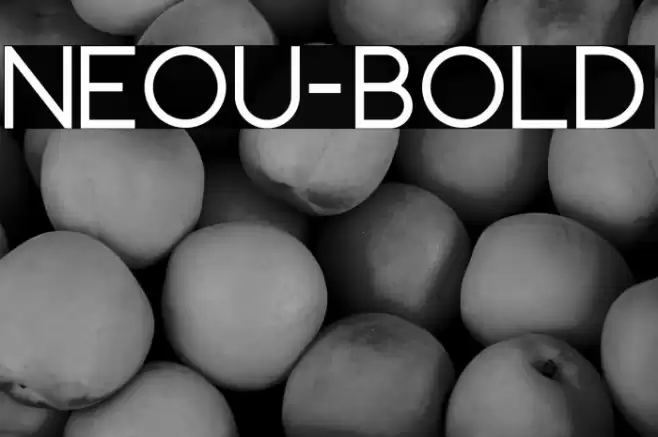 Neou-Bold Font examples