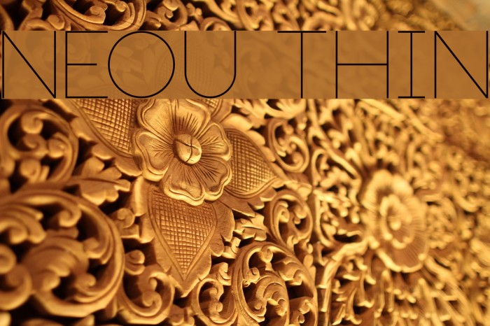 Neou Thin Font examples
