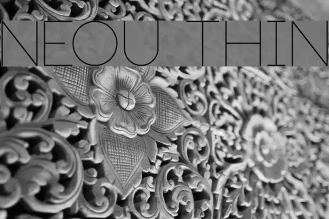 Neou Thin Font examples
