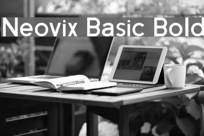 Neovix Basic Bold Font examples