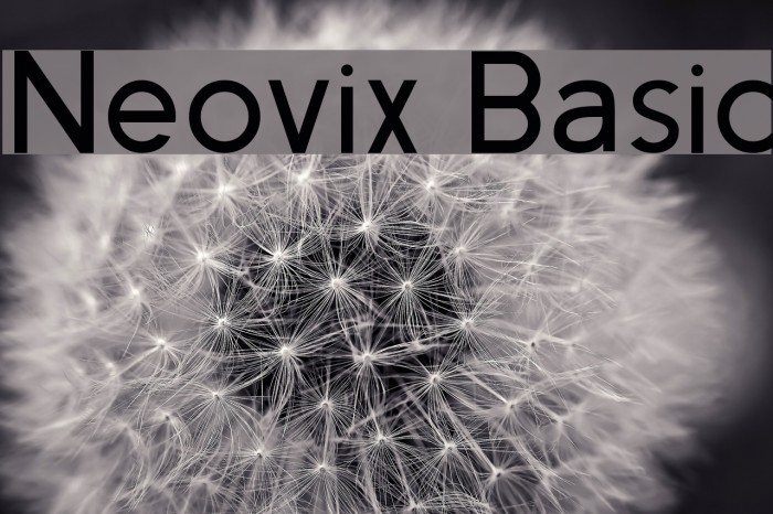 Neovix Basic Font examples