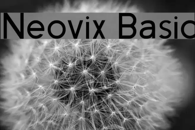 Neovix Basic Font examples