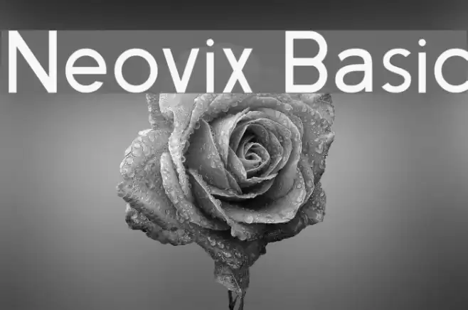 Neovix Basic Font examples