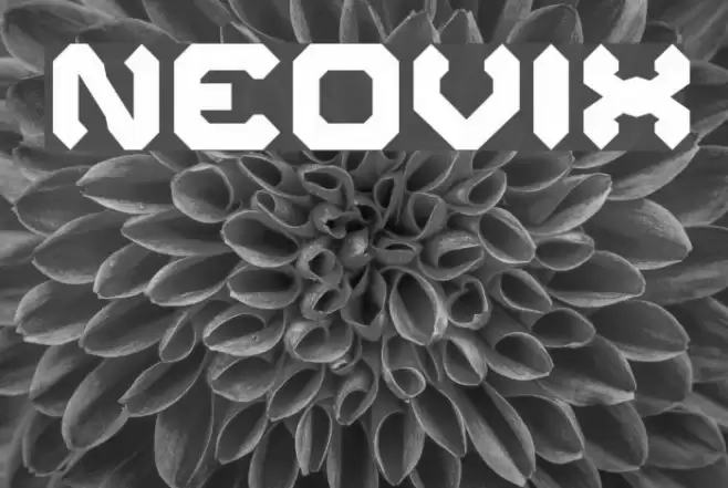 Neovix Font examples