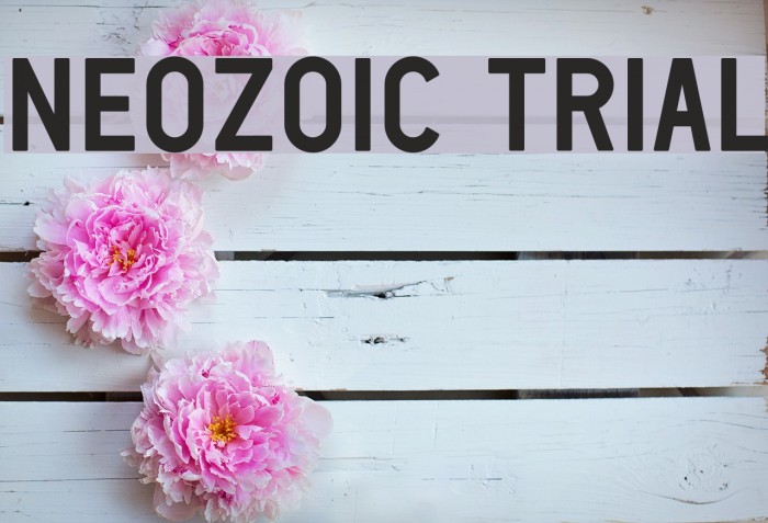 Neozoic Trial Font examples