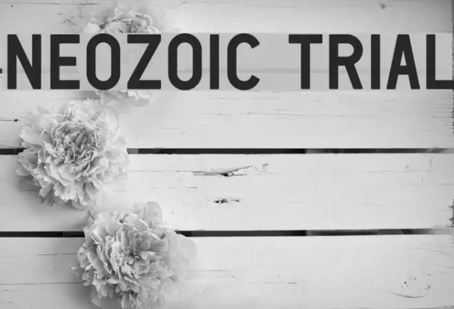Neozoic Trial Example 2