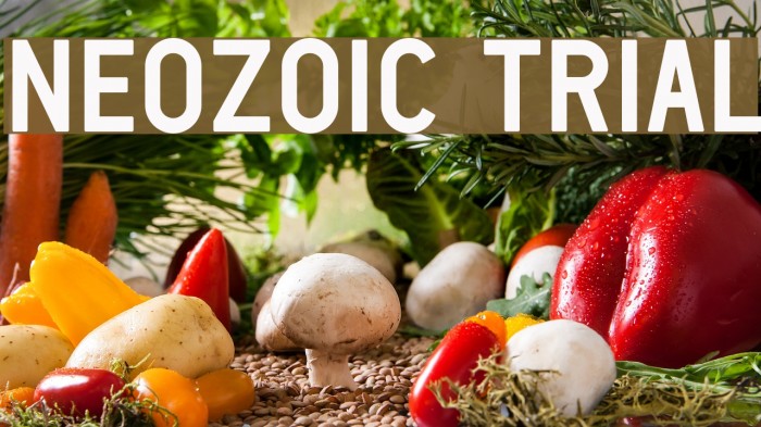 Neozoic Trial Font examples