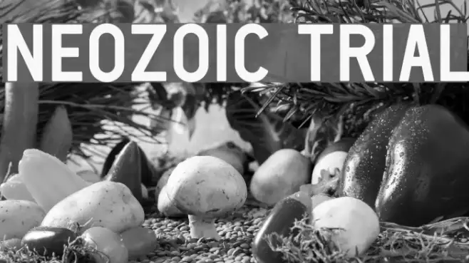 Neozoic Trial Example 3