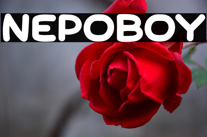 Nepoboy Example 1