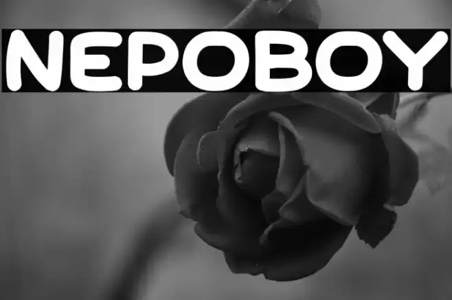 Nepoboy خط examples