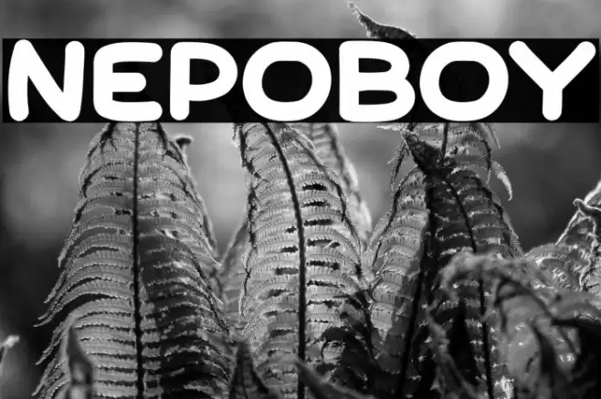 Nepoboy خط examples