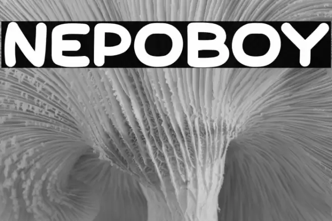 Nepoboy خط examples