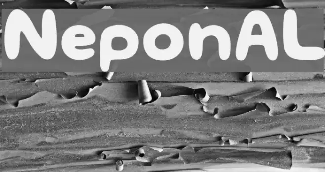 NeponAL Example 2