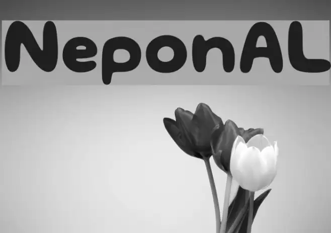 NeponAL Example 3