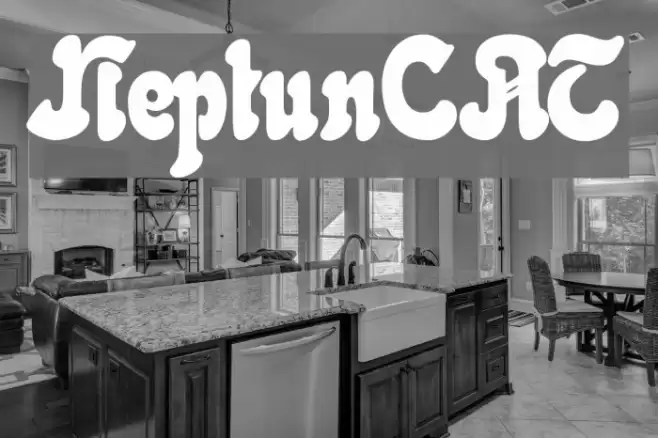 NeptunCAT Font examples