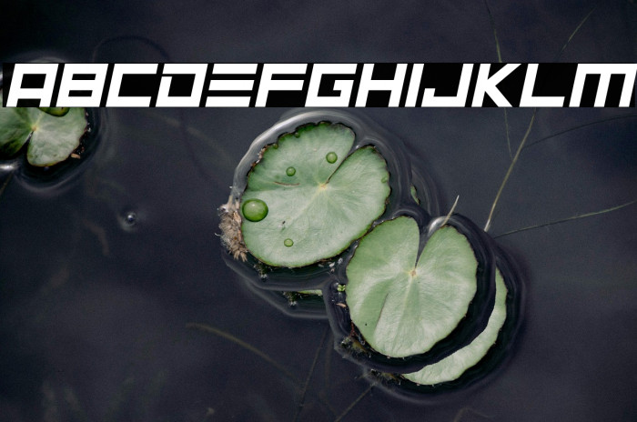 Neptune Lander Italic Example 1