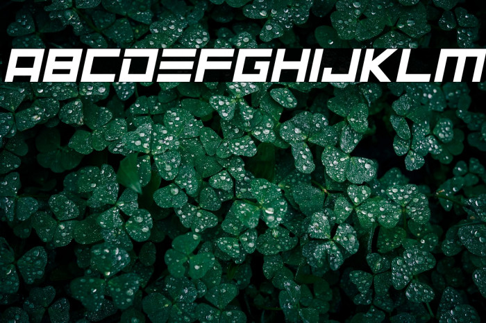 Neptune Lander Italic Example 2