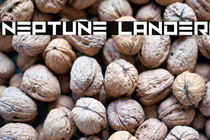Neptune Lander Example 3
