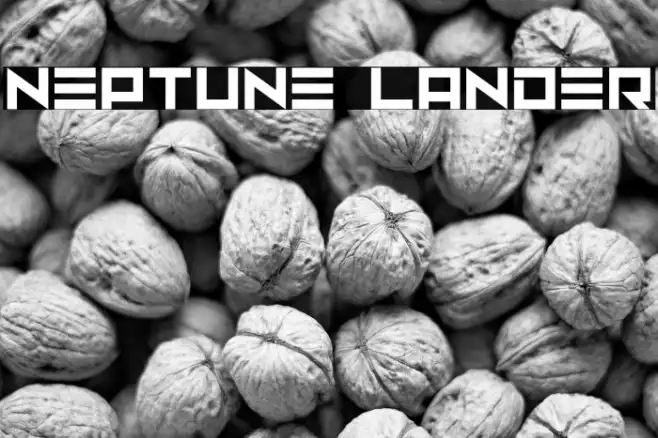 Neptune Lander Example 3