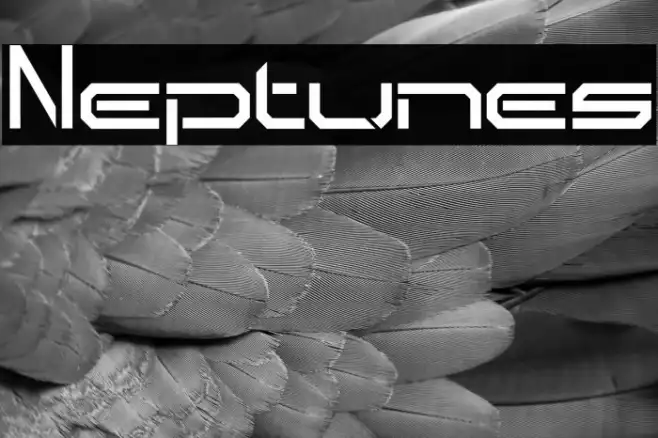 Neptunes Example 3