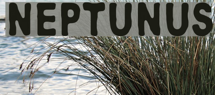 Neptunus Font examples