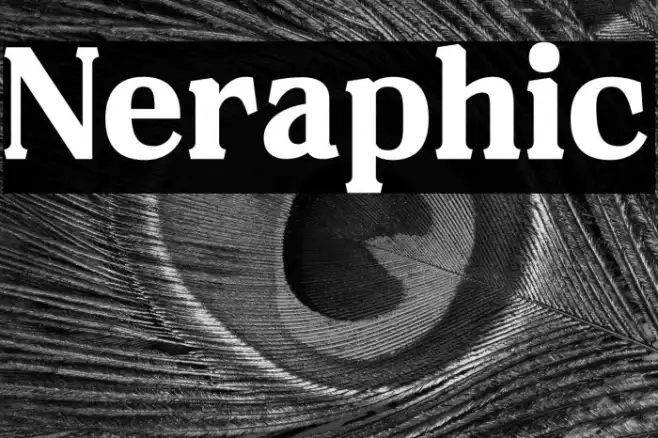 Neraphic Example 1