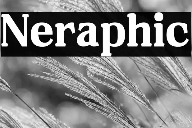 Neraphic Example 3