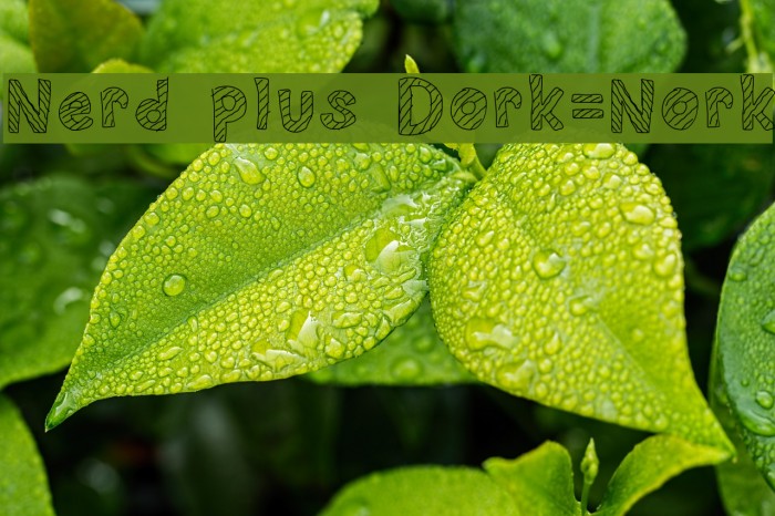 Nerd plus Dork=Nork Font examples