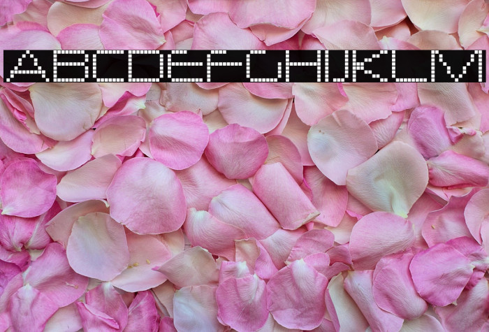 NerdropolLattice-Regular Example 2