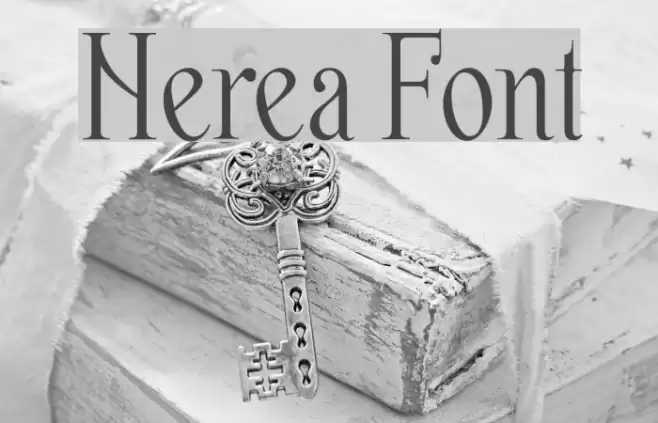 Nerea Font examples