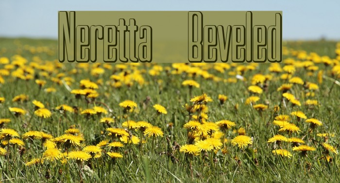 Neretta Beveled Font examples
