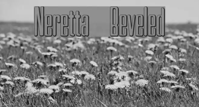 Neretta Beveled Example 1
